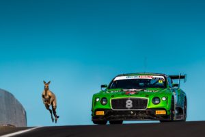 B12hr - Kangaroo and Bentley Racing Continental GT3 #8 | © Bentley