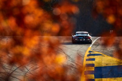 Petit Le Mans P3 GTLM #24 - J. Edwards / J. Krohn / A. Farfus | © BMW