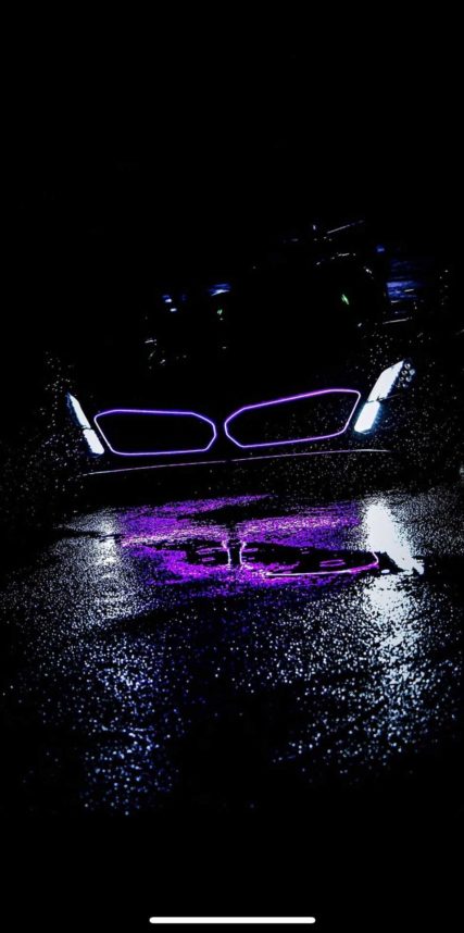 P6 GTP - #24 P. Eng / A. Farfus / M. Wittmann / C. Herta -